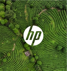 HP Palo Alto 's avatar