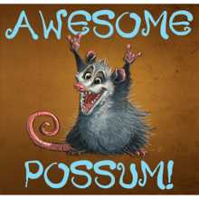 JFK Awesome Possums's avatar
